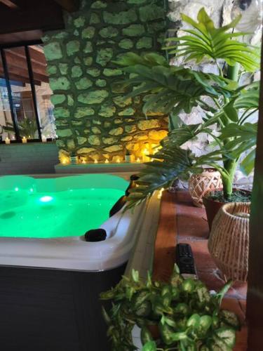 - une piscine verte dans une pièce ornée de plantes dans l'établissement Le Petit Paradis, à Bouafles