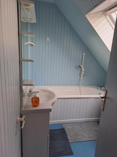 une salle de bain avec un lavabo et une baignoire dans l'établissement Longère en pleine nature, à Runan