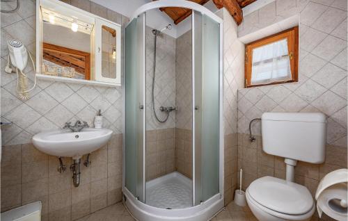 a bathroom with a shower and a toilet and a sink at Cozy Apartment In Cerovlje With Wifi in Cerovlje