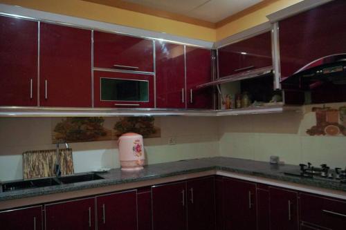 Cuina o zona de cuina de Rumi's House