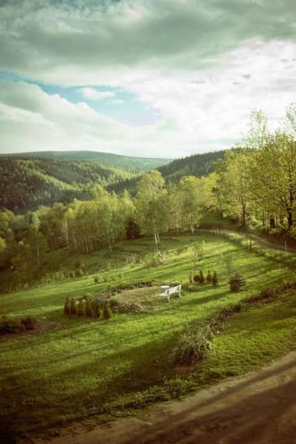a white horse standing in a field of grass at Halinówka - Twoje Miejsce w Górach Sowich in Pieszyce