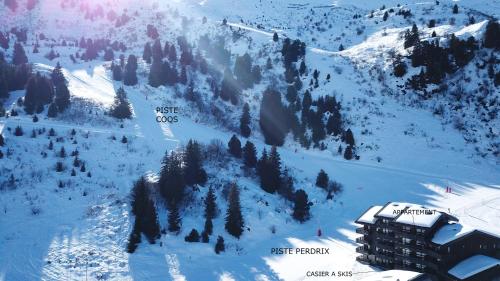 une montagne enneigée avec un bâtiment et des arbres dans l'établissement Appart 2 pièces 6p - Pied des pistes avec vue - Parking - Mottaret, à Les Allues