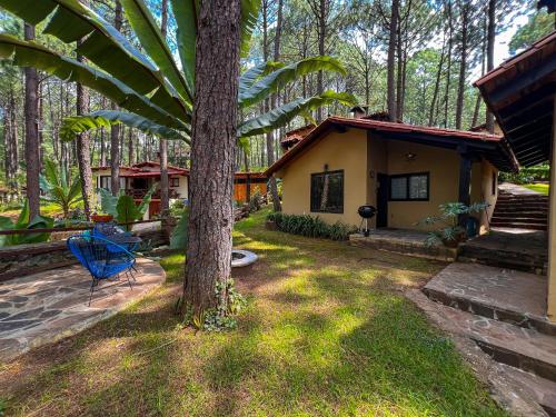 a house with a tree and a blue chair in the yard at Cabañas Las Morenas Mazamitla in Mazamitla