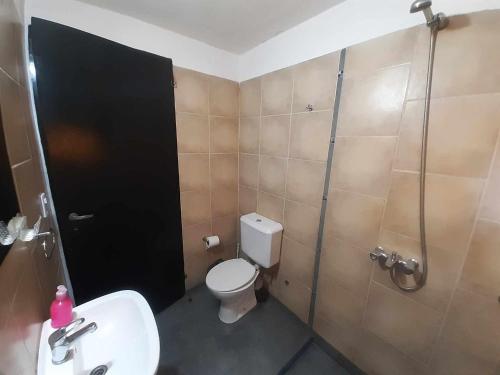 a bathroom with a shower and a toilet and a sink at Cabaña Silvana in Bialet Massé