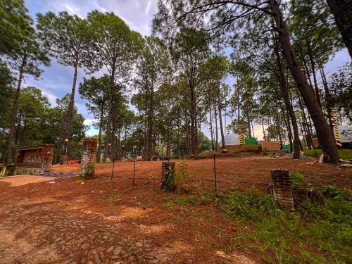 a dirt field with trees in the background at Cabañas Las Morenas Mazamitla in Mazamitla