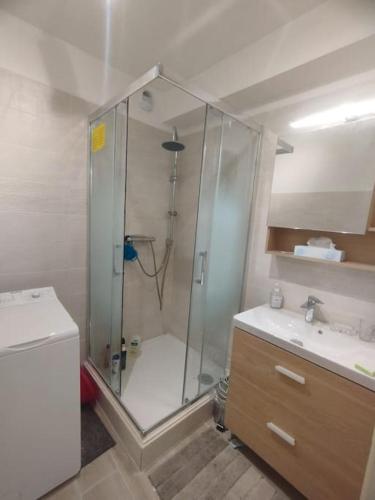 une salle de bain avec une douche, des toilettes et un lavabo dans l'établissement Appartement à 5mn de la mer et du Village de Noël - draps et serviettes non fournis, au Barcarès