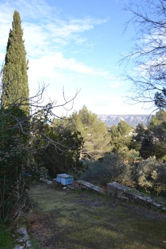 un árbol en medio de un patio con un banco en Une Chambre aux Gabions, en Cavaillon