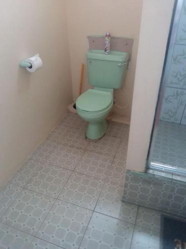a bathroom with a green toilet in a room at D Quiet Spot Vacation Rental in Peñal