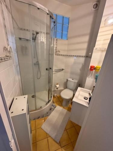 une salle de bain avec douche et toilettes dans l'établissement Peaceful Flat w WiFi Very Close to Pl Massena Refurbished, à Nice