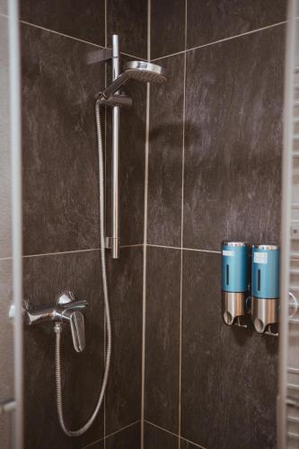 a shower in a bathroom with a shower head at Große Freiheit in Ellzee