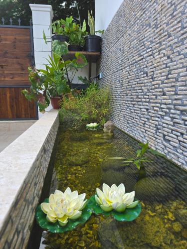 สวนหย่อมนอก Villa Belsoley