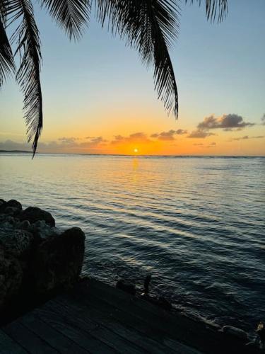 a sunset over a body of water with a palm tree at Ti paradis créole - Sainte-Anne in Plaisance
