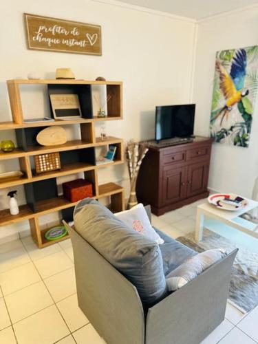 a living room with a couch and a tv at Ti paradis créole - Sainte-Anne in Plaisance