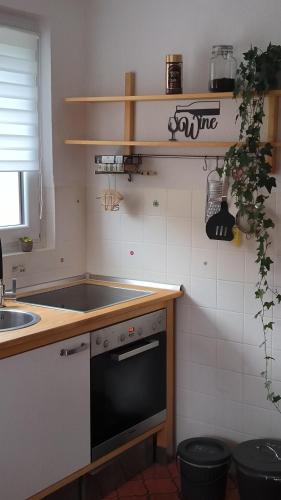 a kitchen with a sink and a stove top oven at Haus Helga in Albersweiler