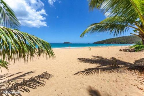 a sandy beach with palm trees and the ocean at Le repère des Pirates in Les Abymes