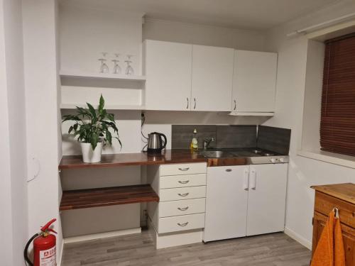 una cocina con armarios blancos y una planta en ella en Nydelig hybelleilighet nært sentrum, en Tromsø