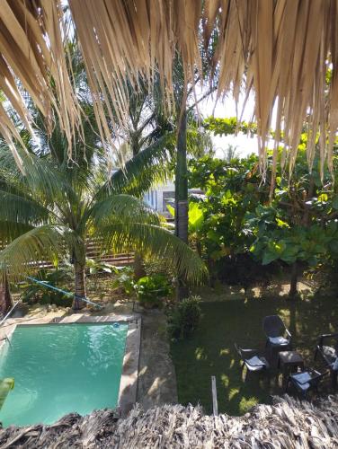 a backyard with a swimming pool and palm trees at ECOVILLA CORAL GARDEN in Baoruco