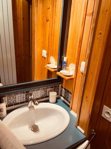 une salle de bain avec un lavabo et un miroir dans l'établissement LE BLANC NORDIQUE, à Le Bouchet-Mont Charvin