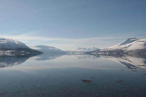 a large body of water with snow covered mountains at Arctic Aurora View in Ytre Tomasjord