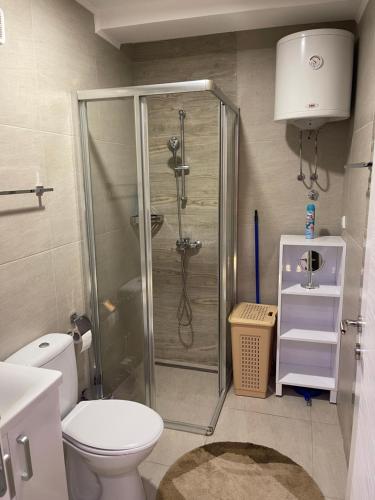 Koupelna v ubytování AS Apartmani Srebrno Jezero