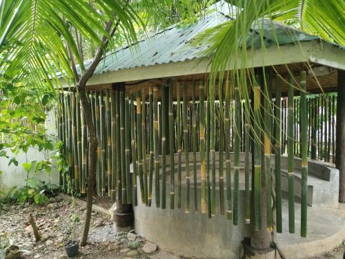 a building with a fence next to a palm tree at La Vida Hostel Samal Island in Samal