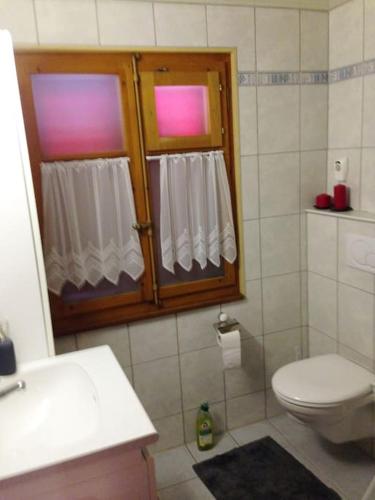 a bathroom with a toilet and a window at Chalet Julia mit Sauna in Eisten