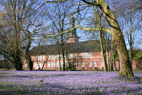 a field of purple flowers in front of a building at Carpe Diem in Husum