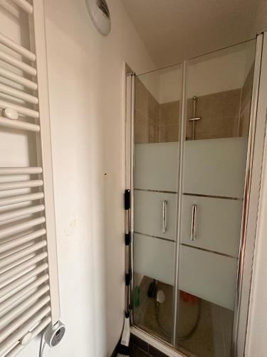 La salle de bains est pourvue d'une douche et d'une armoire en verre. dans l'établissement Le Valmy, à Colombes