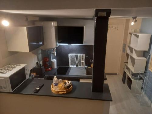 une cuisine avec un comptoir avec un évier et un micro-ondes dans l'établissement Le Cocon F I N, à Clermont