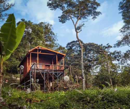 a tree house in the middle of a field at Glamping la Joyita in Chimbe