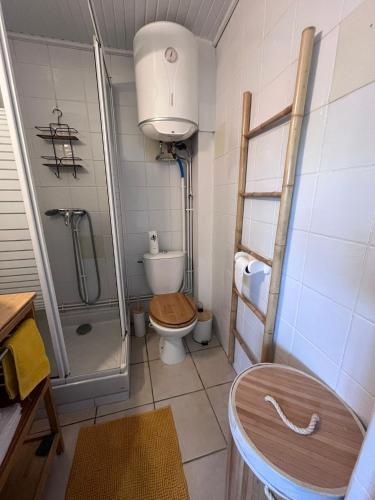 een kleine badkamer met toilet en douche bij Studio Océmarine in Les Trois-Îlets