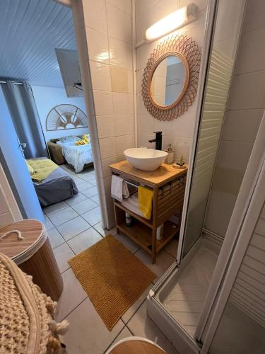 een badkamer met een wastafel en een douche bij Studio Océmarine in Les Trois-Îlets