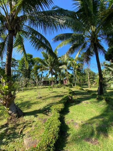 a lawn with palm trees and a house in the background at Bambua Nature Cottages in Puerto Princesa City