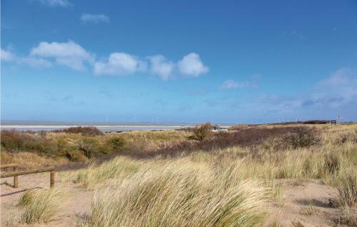 カンペルラントにあるAmazing Home In Kamperland With Wifiの浜辺の高い草原