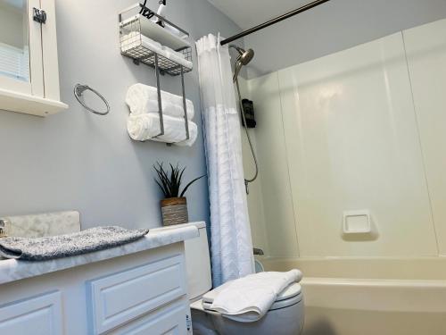 a bathroom with a shower curtain and a toilet at Sherizee Home in Marblehead