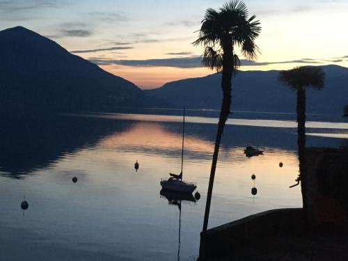 a boat sitting on the water with a palm tree at Apartment Irene - Casa Centro in Ascona