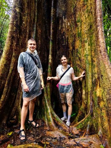 two men standing in front of a large tree at Khao Sok Country Resort in Khao Sok