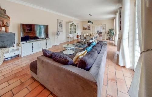 a living room with a couch and a television at Awesome Home In Vianne in Vianne