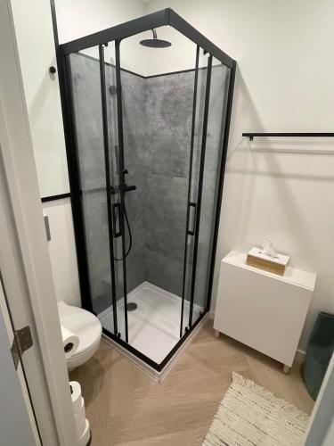 a bathroom with a shower and a toilet at Stadsstudio op toplocatie in Antwerp