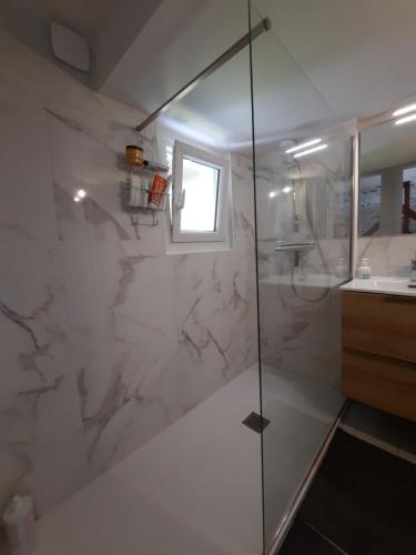 a bathroom with a shower and a sink at Maisonnette pour halte angevine in Les Ponts-de-Cé