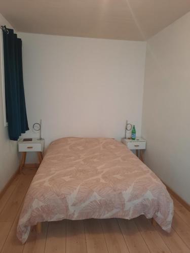 a bedroom with a bed and two night stands at Maisonnette pour halte angevine in Les Ponts-de-Cé