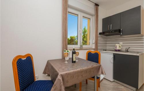 Η κουζίνα ή μικρή κουζίνα στο Lovely Apartment In Krvavica With Wifi
