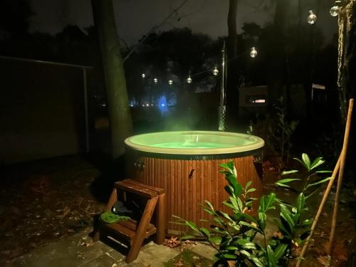 a bath tub in a garden at night at Boslodge Het Groene Hert met Hottub in Haarle