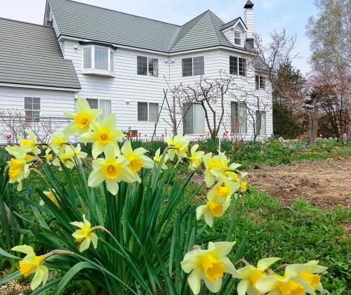 Κήπος έξω από το 丘の上白亜の洋館風別荘静かな小さなお宿Guest House Itoh 2名様から6名様