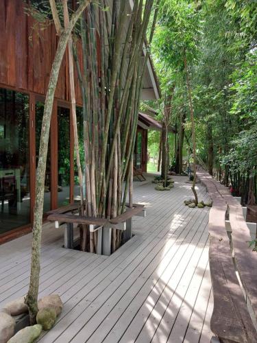 a wooden deck with benches and trees in front of a building at Teak@Teak in Ban Cha-om