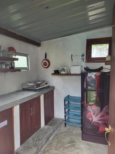 Kuchyň nebo kuchyňský kout v ubytování Sylvan Villa