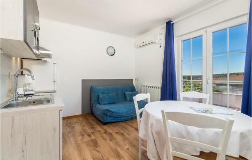 Η κουζίνα ή μικρή κουζίνα στο 1 Bedroom Stunning Apartment In Barbat