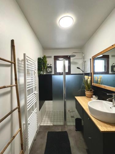 une salle de bain avec un lavabo et une douche dans l'établissement La Maison des Cocottes, à La Barre-de-Semilly