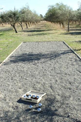 a bowl of balls on the ground in a field at Olive Grove Cabin Waipara in Waipara