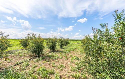 a row of bushes in a field with a cloudy sky at 1 Bedroom Nice Home In Paternò in Paterno